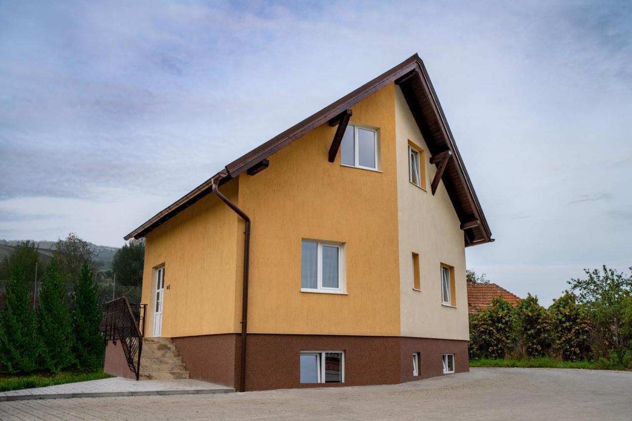 Pensiunea Zbor Cluj-Napoca Exterior foto